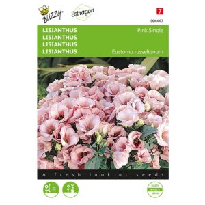 8711117044475-004447-Graines-Lisianthus-Pink-Single-25-graines-Buzzy