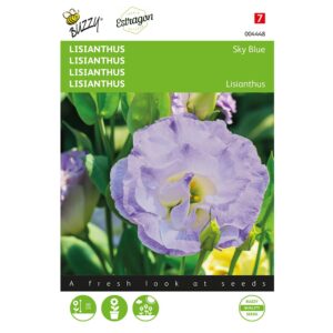 8711117044482 - 004448 - Graines - Lisianthus Sky Blue - 20 graines - Buzzy