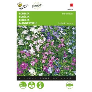 8711117044505-004450-Graines-Lobelia-Collier-de-Perles-variee-02-gr-Buzzy