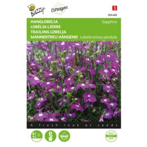 8711117044604-004460-Graines-Lobelia-lierre-Saphir-025-gr-Buzzy