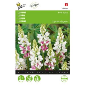8711117044734 - 004473 - Graines - Lupin Pink Fairy - 2 gr - Buzzy