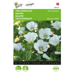 8711117044765-004476-Graines-Malope-White-Queen-15-gr-Buzzy