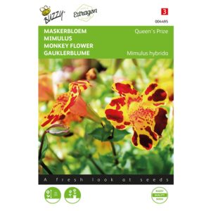8711117044956 - 004495 - Graines - Mimulus QueenÔÇÖs Prize - 15 graines - Buzzy