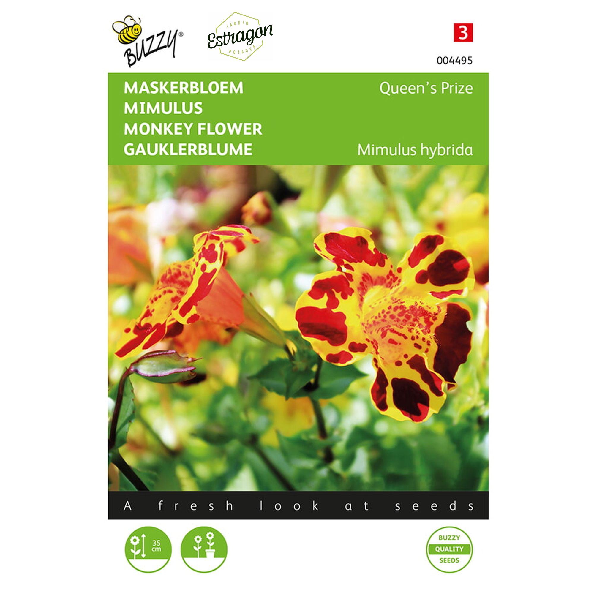 8711117044956 - 004495 - Graines - Mimulus QueenÔÇÖs Prize - 15 graines - Buzzy