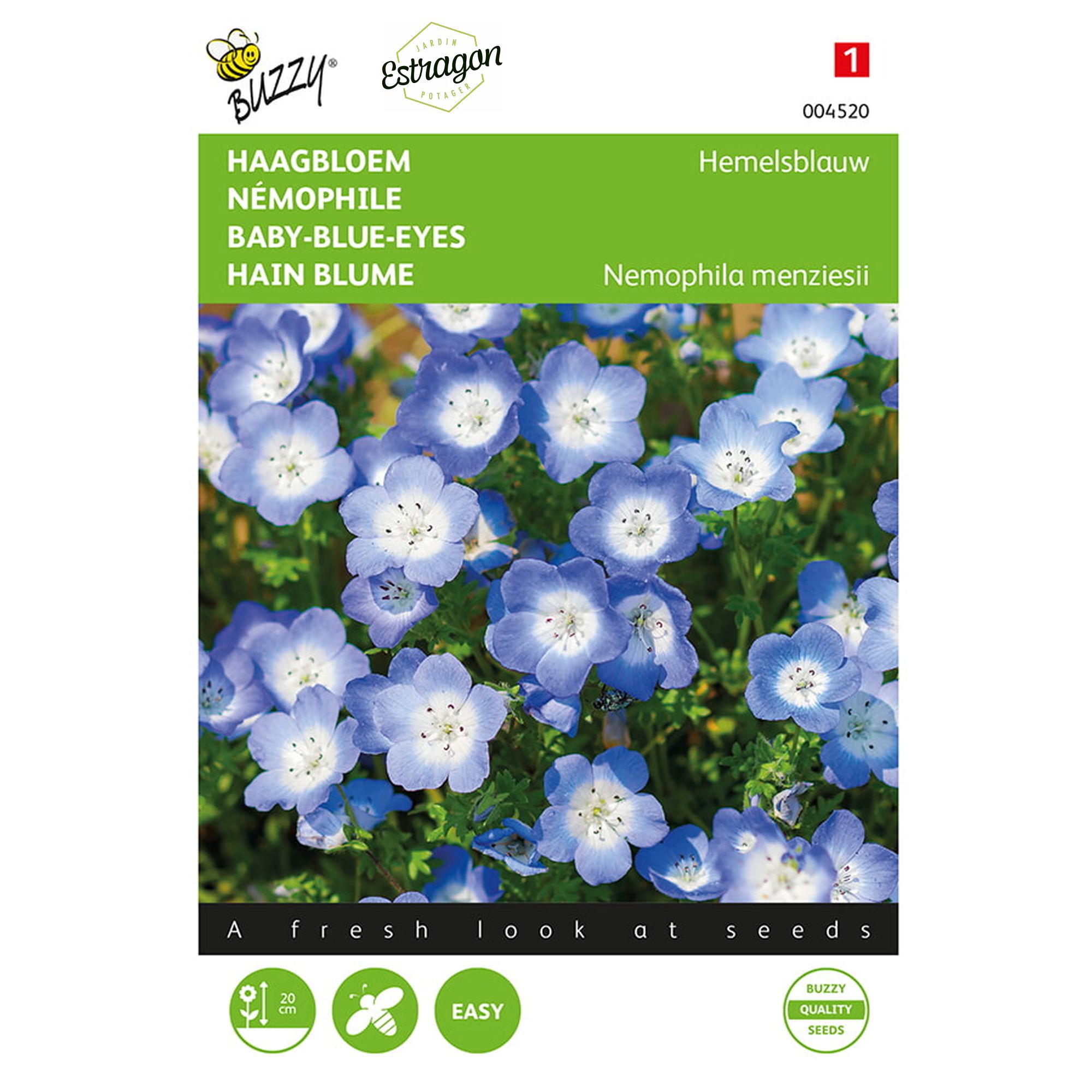 8711117045205 - 004520 - Graines - Nemophile insignis Bleu - 1 gr - Buzzy