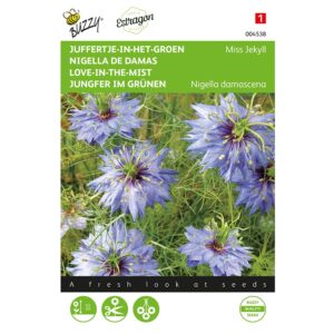 8711117045380 - 004538 - Graines - Nigelle de Damas Miss Jekyll, bleu - 1,5 gr - Buzzy