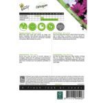 8711117045427 - 004542_1 - Graines - Osteospermum - Akila Melange - 10 graines - Buzzy