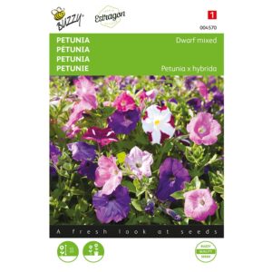 8711117045700 - 004570 - Graines - Petunia Compacta varie - 0,2 gr - Buzzy