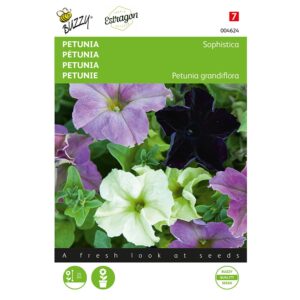8711117046240 - 004624 - Graines - Petunia Sophistica variee - 10 graines - Buzzy