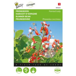 8711117046349 - 004634 - Graines - Haricot d Espagne Painted Lady - 20 gr - Buzzy