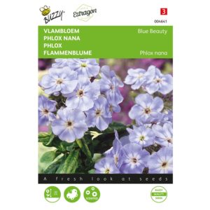 8711117046417-004641-Graines-Phlox-nana-Blue-Beauty-04-gr-Buzzy