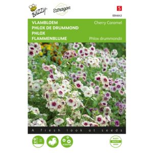 8711117046431-004643-Graines-Phlox-de-Drummond-Cherry-Caramel-04-gr-Buzzy