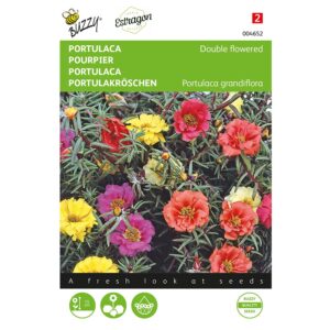 8711117046523 - 004652 - Graines - Pourpier Fleur double, varie - 0,3 gr - Buzzy