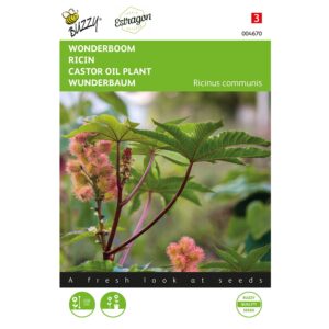 8711117046707 - 004670 - Graines - Ricin Zanzibariensis - 5 gr - Buzzy