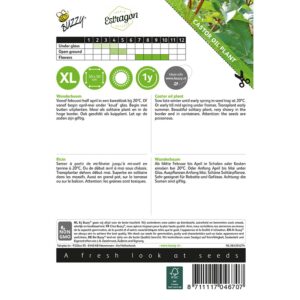 8711117046707 - 004670_1 - Graines - Ricin Zanzibariensis - 5 gr - Buzzy