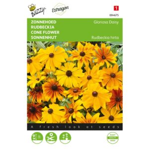 8711117046752 - 004675 - Graines - Rudbeckia Gloriosa Daisy - 0,5 gr - Buzzy