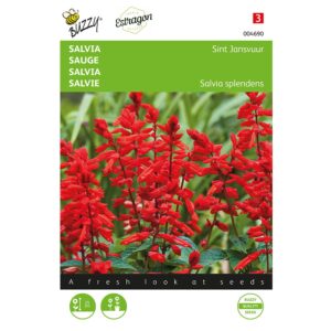 8711117046905 - 004690 - Graines - Sauge Feu de la Sint Jean - 0,4 gr - Buzzy