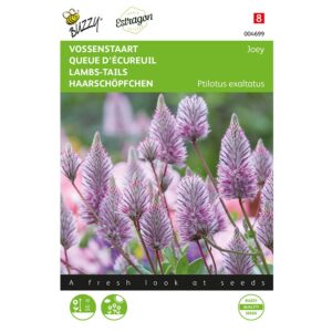 8711117046998-004699-Graines-Ptilotus-Queue-d-ecureuil-Joey-5-graines-Buzzy