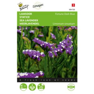 8711117047209-004720-Graines-Statice-Fortune-Dark-Blue-02-gr-Buzzy