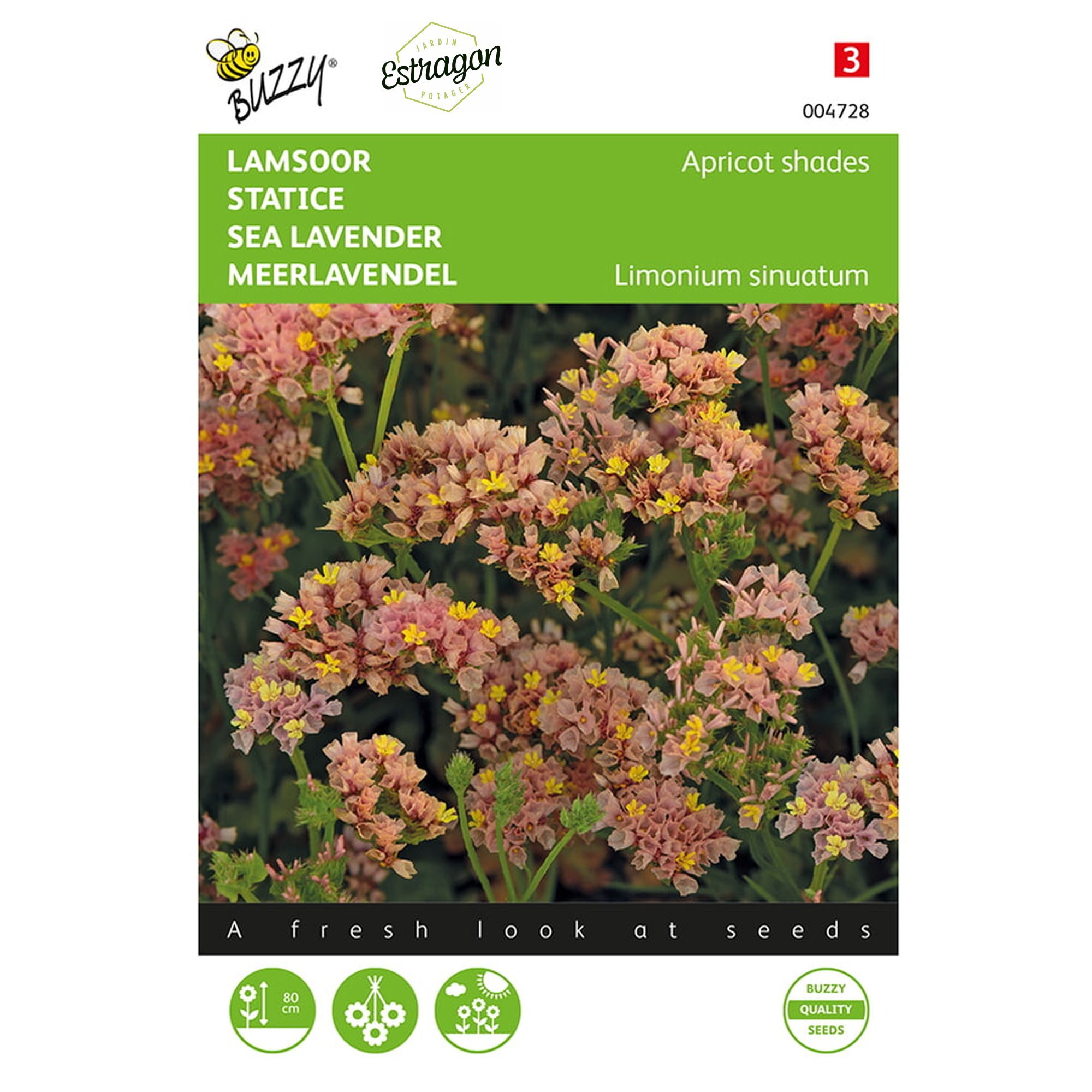 8711117047285 - 004728 - Graines - Statice Apricot shades - 0,2 gr - Buzzy