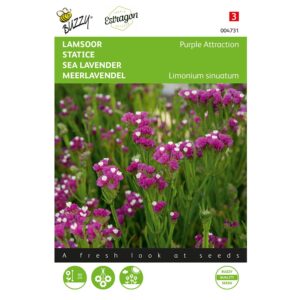 8711117047315-004731-Graines-Statice-Purple-Attraction-02-gr-Buzzy