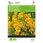 8711117046349 - 004634 - Graines - Haricot d Espagne Painted Lady - 20 gr - Buzzy