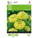 8711117048565-004856-Graines-Zinnia-Envy-1-gr-Buzzy