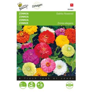 8711117048602-004860-Graines-Zinnia-a-fleur-de-Dahlia-double-varie-15-gr-Buzzy