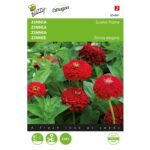 8711117048619-004861-Graines-Zinnia-Scarlet-Flame-1-gr-Buzzy