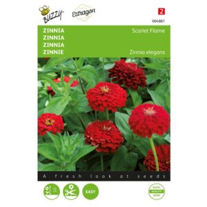 8711117048619-004861-Graines-Zinnia-Scarlet-Flame-1-gr-Buzzy