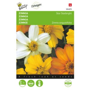 8711117048701-004870-Graines-Zinnia-Star-Starbright-Melange-20-graines-Buzzy