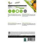 8711117048701-004870_1-Graines-Zinnia-Star-Starbright-Melange-20-graines-Buzzy