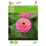 8711117048725-004872-Graines-Zinnia-Lilliput-Rose-Gem-1-gr-Buzzy