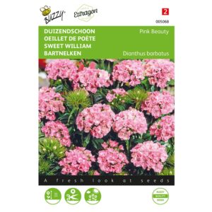 8711117050681-005068-Graines-Oeillet-de-Poete-Pink-Beauty-075-gr-Buzzy