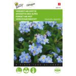 8711117051107-005110-Graines-Myosotis-alpestris-bleu-precoce-05-gr-Buzzy