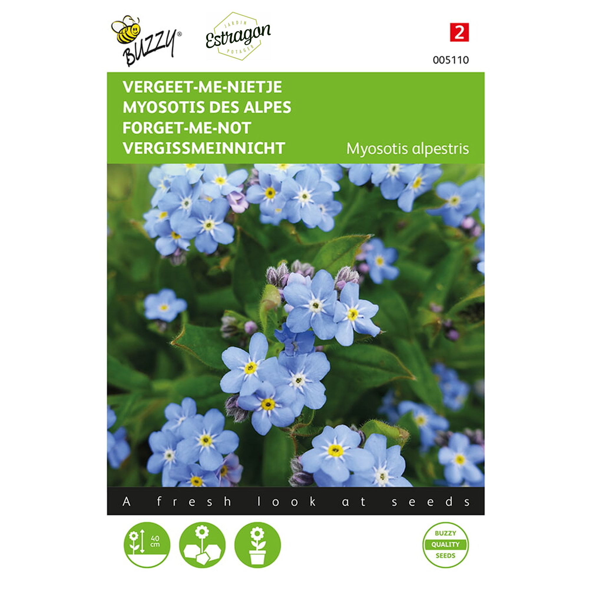 8711117051107-005110-Graines-Myosotis-alpestris-bleu-precoce-05-gr-Buzzy