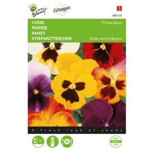 8711117051350-005135-Graines-Pensee-Trimardeau-variee-04-gr-Buzzy