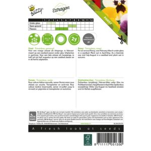 8711117051350-005135_1-Graines-Pensee-Trimardeau-variee-04-gr-Buzzy