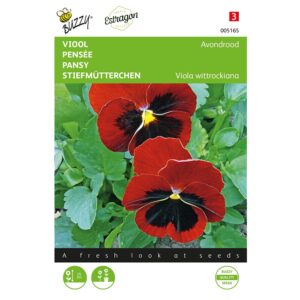 8711117051657-005165-Graines-Pensee-Lueur-des-Alpes-04-gr-Buzzy