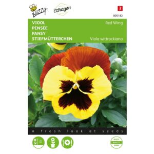 8711117051824-005182-Graines-Pensee-Geante-aille-rouge-04-gr-Buzzy