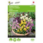 8711117051954-005195-Graines-Violette-Bambini-variee-04-gr-Buzzy