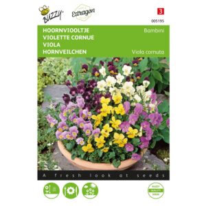 8711117051954-005195-Graines-Violette-Bambini-variee-04-gr-Buzzy