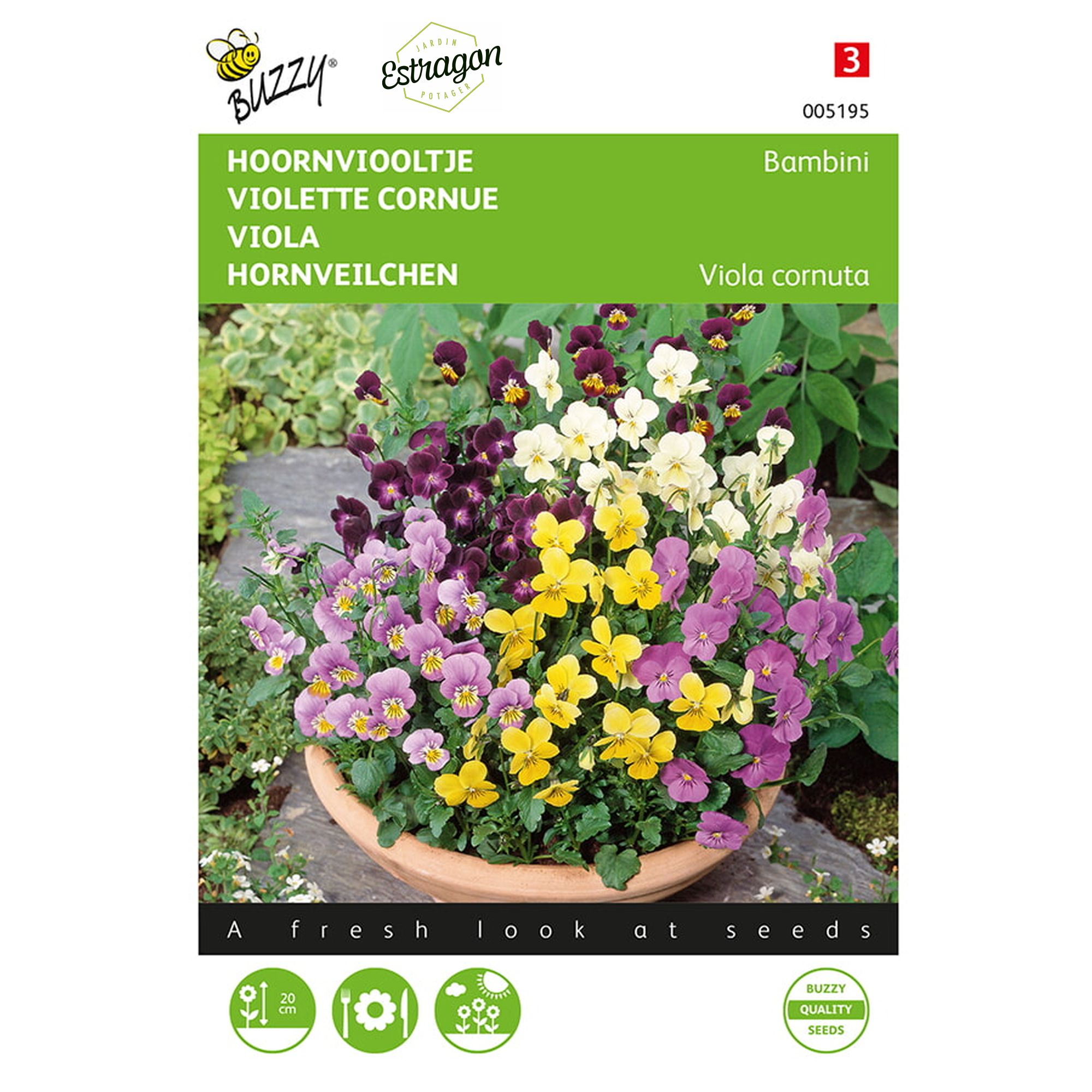 8711117051954-005195-Graines-Violette-Bambini-variee-04-gr-Buzzy