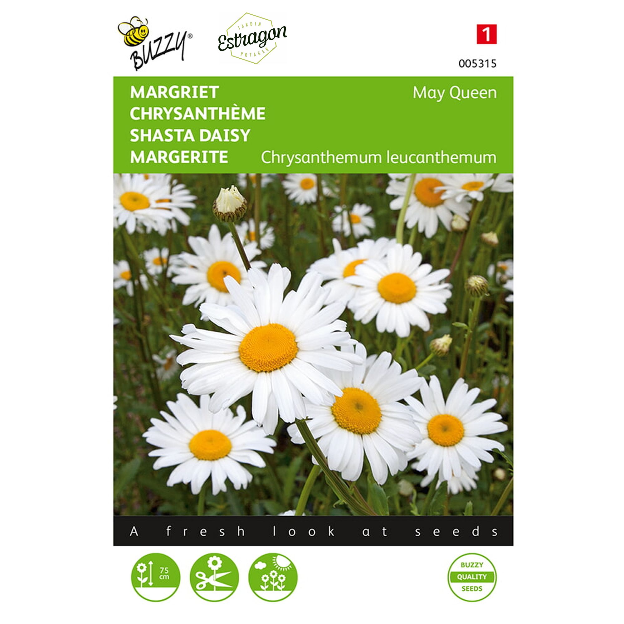 8711117053156 - 005315 - Graines - Chrysantheme May Queen - 0,75 gr - Buzzy
