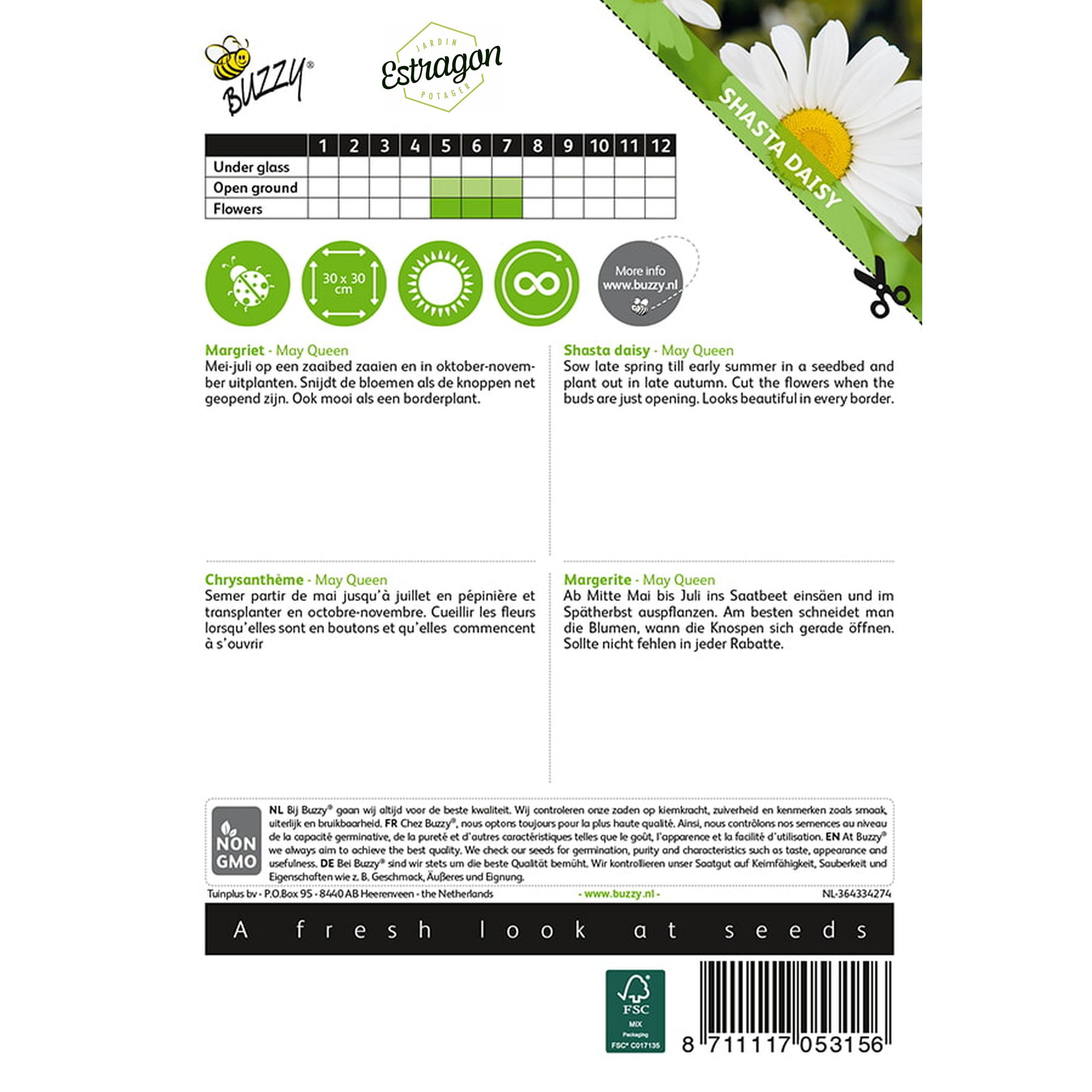 8711117053156 - 005315_1 - Graines - Chrysantheme May Queen - 0,75 gr - Buzzy