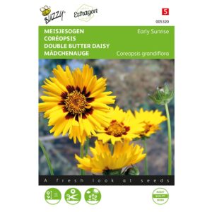 8711117053200-005320-Graines-Coreopsis-Early-Sunrise-25-graines-Buzzy