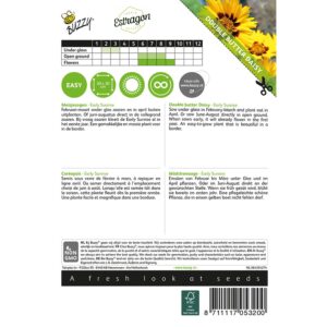 8711117053200-005320_1-Graines-Coreopsis-Early-Sunrise-25-graines-Buzzy