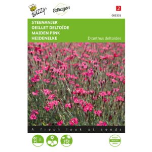 8711117053354-005335-Graines-Oeillet-deltoide-Rouge-Carmin-025-gr-Buzzy