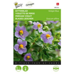 8711117053538-005353-Graines-Violette-de-Perse-Midget-Blue-10-graines-Buzzy