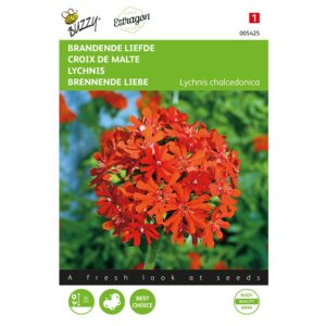 8711117054252-005425-Graines-Croix-de-Malte-025-gr-Buzzy